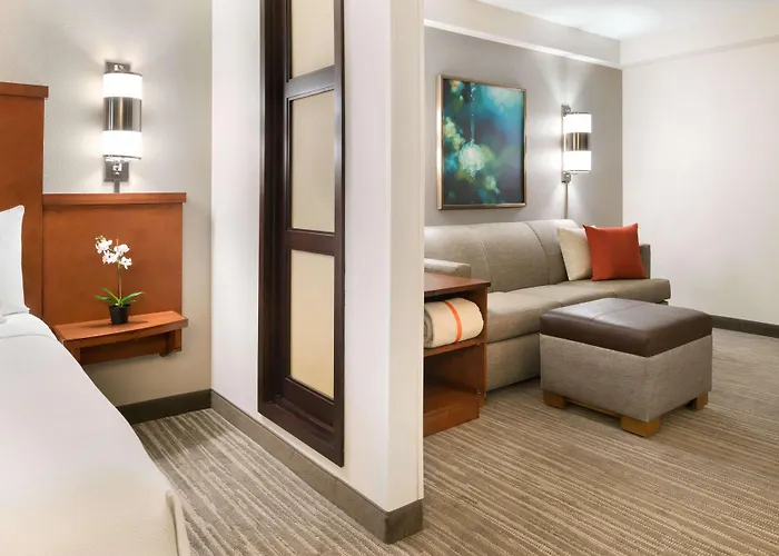 Hyatt Place Chicago 3*